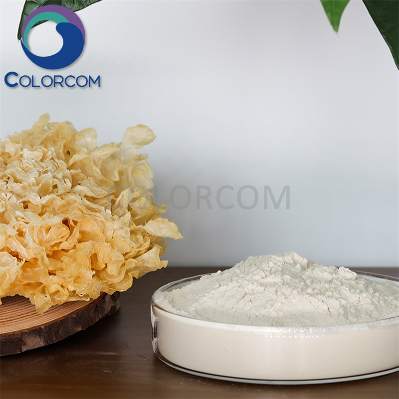 TREMELLA MUSHROOM EXTRACT | TREMELLA EXTRACT | Tremella Fuciformis Extract | white fungus Extract | Polysaccharide 20%
