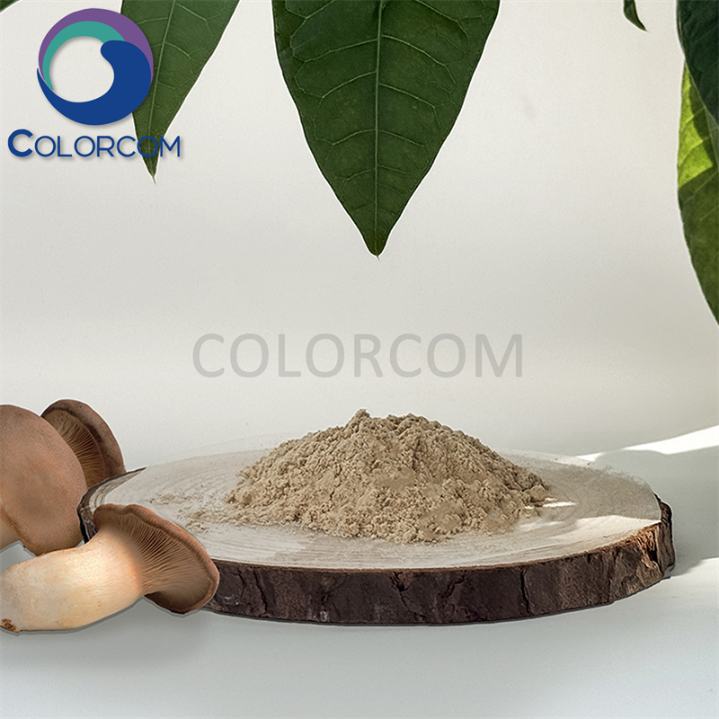 KING TRUMPET MUSHROOM EXTRACT | KING TRUMPET EXTRACT | Pleurotus eryngii Extract | Polysaccharide