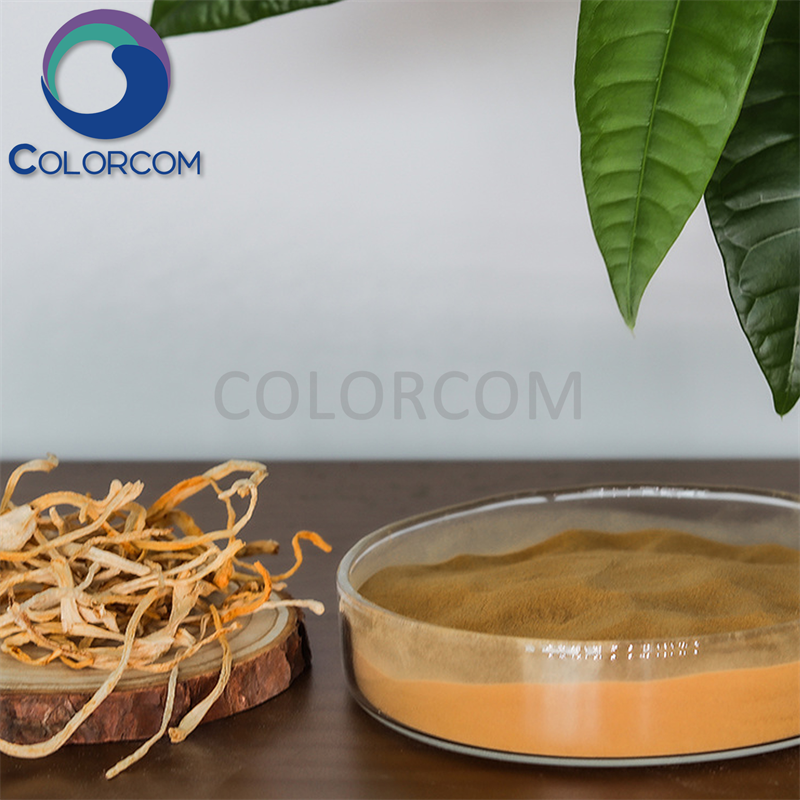 CORDYCEPS MUSHROOM EXTRACT | Cordyceps Militaris Extract | Polysaccharide | Cordycepin  | CORDYCEPS EXTRACT  | C. militaris